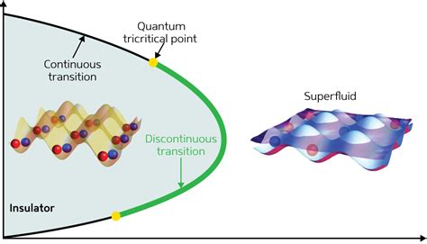 Simulations Reveal Exotic Quantum Phase Transitions In Optically