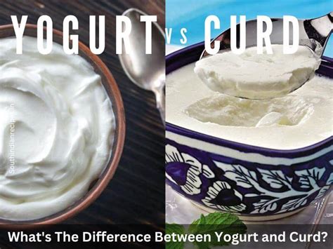 Whats The Difference Between Yogurt And Curd Explained Briefly