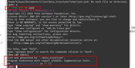 Segmentation fault core dumped 知乎