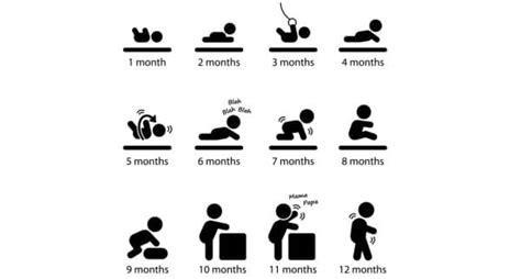 Developmental milestones — What to expect during the first year of your ...