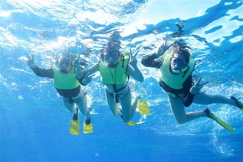 Oahu Dolphin Watching Snorkelling Activity From Honolulu