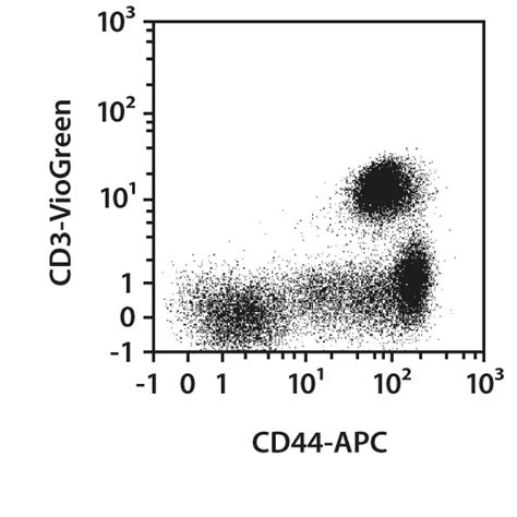 Cd44 Antibody Anti Human Reafinity™ Miltenyi Biotec Usa