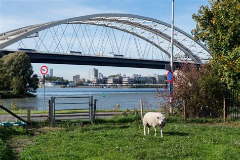 Wonen In Oud Ijsselmonde Start Je Zoektocht Op Wonen In Rotterdam