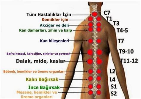 SÜLÜKÇÜ ÖNDER ANKARA SÜLÜK TEDAVİSİ basur tedavi edilir