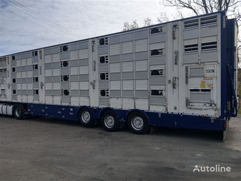 PEZZAIOLI SBA62U Livestock Semi Trailer For Sale Poland Koszalin JK13850