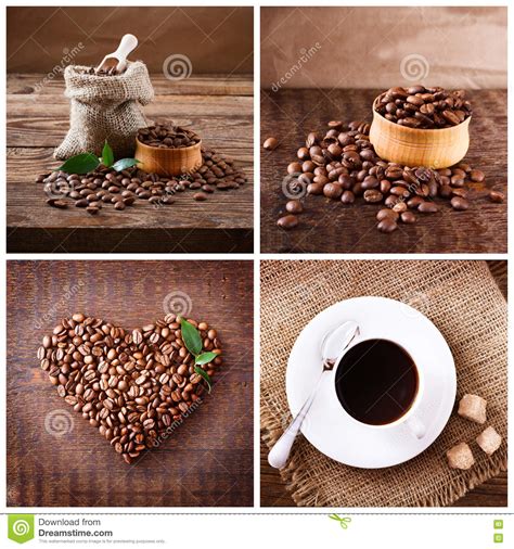 Cup Of Coffee Cappuccino Latte And Roasted Beans Coffee Concept