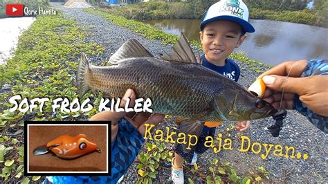 Mancing Ikan Kakap Pakai Umpan Lure Softfrog YouTube