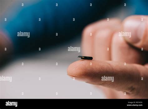 Microchip Finger Hi Res Stock Photography And Images Alamy