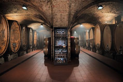 Как выбрать винный шкаф — советы экспертов