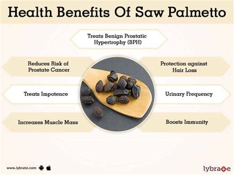 Benefits of Saw Palmetto And Its Side Effects | Lybrate