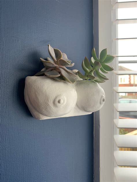 Boob Pot Boobs Wall Planter Boobs Planter Boobies Planter Boobs