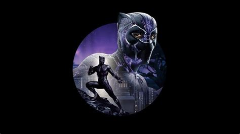 Black Panther Chadwick Boseman Wallpaper - Wallpaper Sun