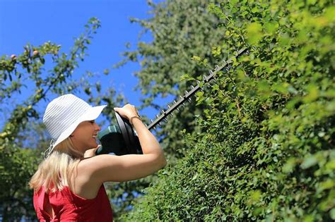 The best cordless hedge trimmers reviewed | TechEffect