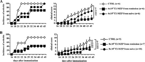 Naive T2 MZP B Cells Prevent The Development Of Arthritis Although