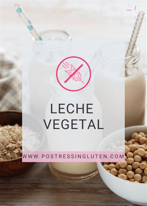 Leche vegetal alternativa saludable y deliciosa a los lácteos