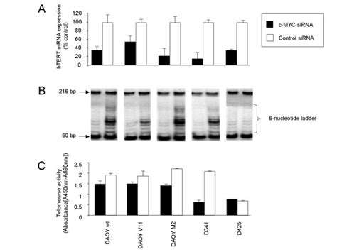 C Myc Sirna Mediates Inhibition Of Htert Mrna Expression And Telomerase Download Scientific