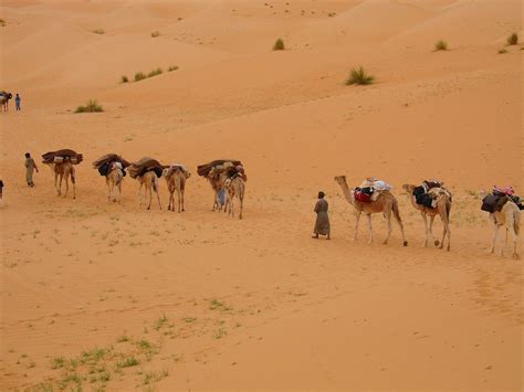 De Chinguetti L Oasis De Terjit Viamonts Trekking Treks Voyages