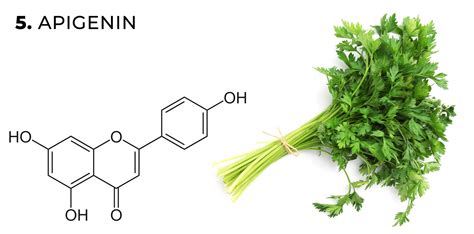 Los flavonoides de la marihuana qué son y cómo funcionan Sensi Seeds