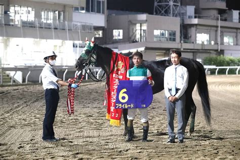 うまみちゃんねる On Twitter Rt Narkeiba アフター5スター賞 1着はプライルード。本日大井競馬場で行われた第