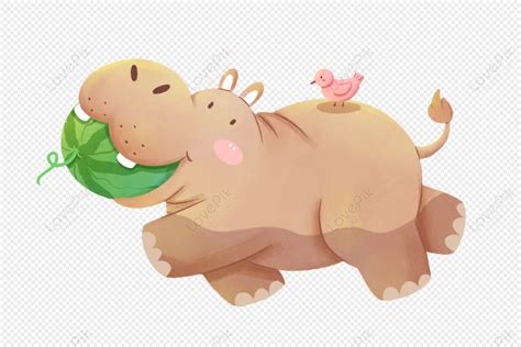 Hippo Eats Watermelon, Eating Watermelon, Eating, Watermelon PNG White ...