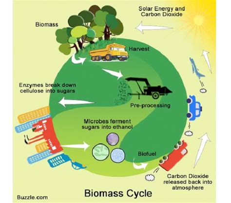 Biomass Power-Renewable Energy Sources