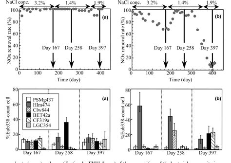 Figure 2 From Design Of 16 S RRNA Targeted Oligonucleotide Probes And