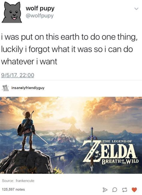 Pin by redactedwwlptyq on Legend of Zelda | Legend of zelda memes ...