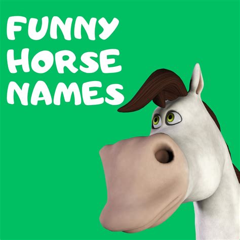 Funny Horse Names - Absolutely Jokes & Puns