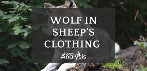 Wolf in sheep's clothing meaning and origin - Poem Analysis