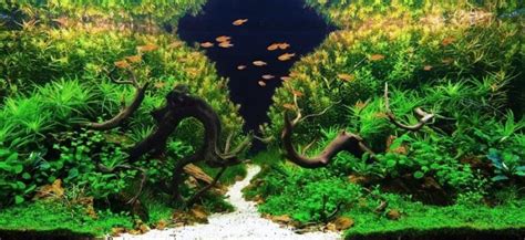 Aquascaping Ideas Styles And Inspiration For Planted Tanks Aquarium Tips