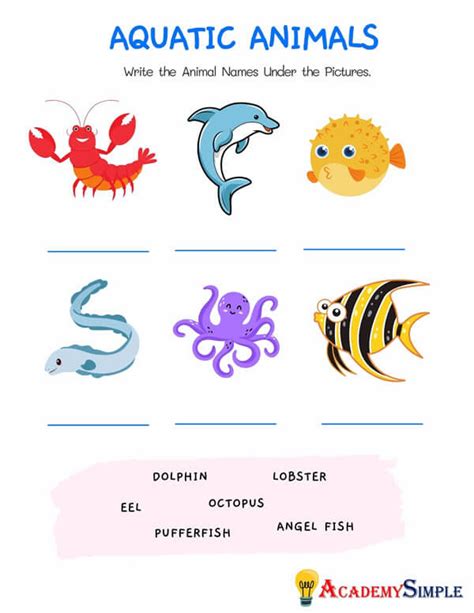 Animals Worksheet Animal Classification Name The Aquatic Animals 2