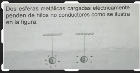 Dos Sueros Met Licas Cargadas El Ctricamente Penden De Ellos No