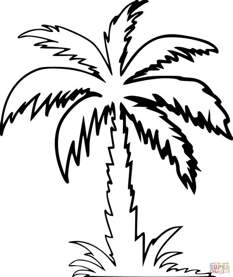 Puesta De Sol Y Palmera Para Colorear Imprimir E Dibujar Dibujos Porn