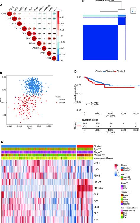 Patterns Of Cuproptosis And Clinical Characteristics Of Each Pattern