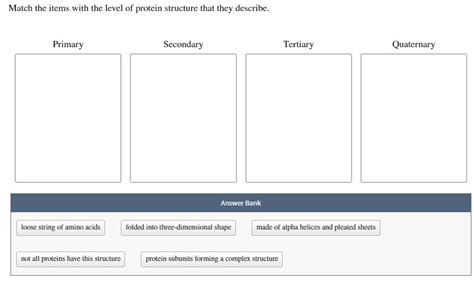 Solved Match The Items With The Level Of Protein Structure Chegg