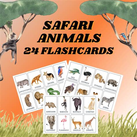 Safari Animals Flashcards, Early Learners, Pre-k, Kindergarten, First ...