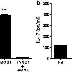 Hmgb Increases Il Expression Through Rage The Mrna Expression Of