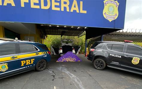 Polícia Apreende Carga De Mais De 300 Kg De Maconha Em Veículo Furtado