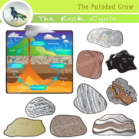 The Rock Cycle Rock Clip Art Sedimentary Igneous Metamorphic