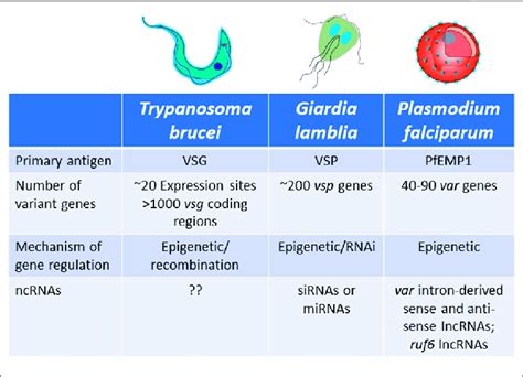 Characteristics Of Antigenic Variation By Mutually Exclusive Gene Download Scientific Diagram