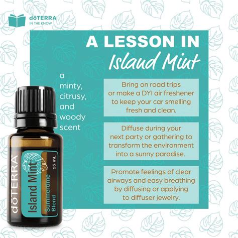 Get This Exclusive Island Mint Essential Oil For 24 50 Wholesale Mint