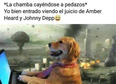 Juicio De Johnny Depp Y Amber Heard Los Mejores Memes Sobre El