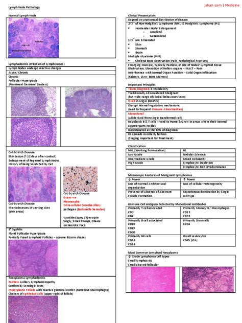 Lymph Node Pathology | PDF | Lymphoma | Lymphatic System