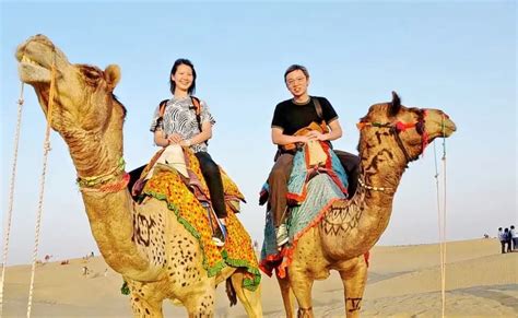 Desert Camel Safari In Khuri Of Rajasthan