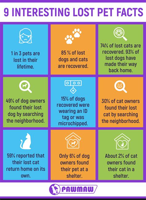 How Dogs Find Their Way Home