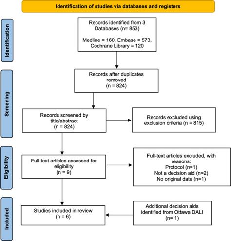 A Scoping Review Of Decision Support Tools For Patients With Lower