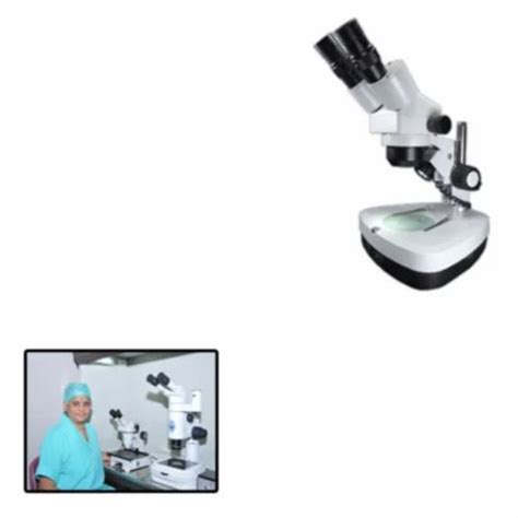 Stereo Zoom Microscope For Lab At Best Price In Ambala By Quality