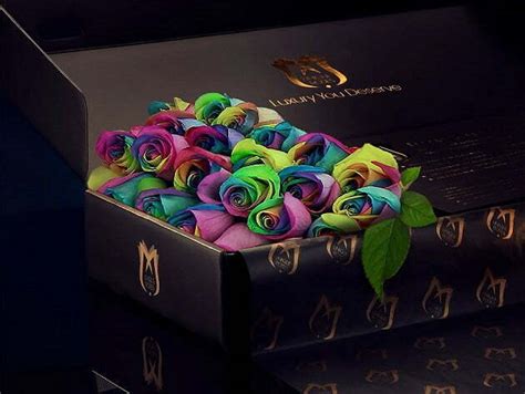 Mothers Day Roses & Flower Delivery Online UK - Envie Roses