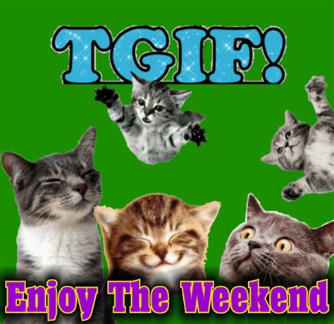 My Weekend Ecard For You Free Enjoy The Weekend Ecards Greeting Cards