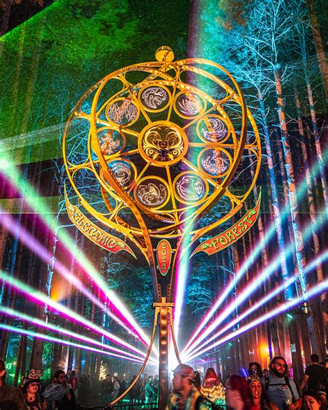 Photos Of The Forest Electric Forest